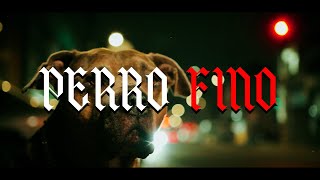 Penyair - Perro fino x @EddyMugre x @DJDmoe  (video oficial)