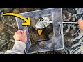 Rockhound finds mystery stones in Lake Superior!