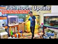 Fish Room Tour , All my Fish tanks , Birds , Hamsters & Pets