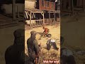 NRDR GAMEZ RED DED|#rdr2 |#shorts #tiktok