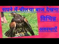 सपने में चील या बाज देखना. seeing eagle in dreams.