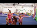 hart gym clip