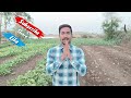 मई जून में कौन सी सब्ज़ियों की नर्सरी तैयार करें june july me konsi sabji lagaye sabji nursery