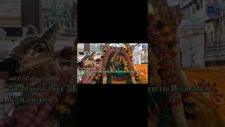 Madurai Sri Meenakshi Amman-Sri Sundareswarar Celebrations: Sacred Events in Hindu Temples