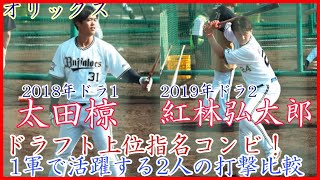 【秋季キャンプ】ドラフト上位指名コンビ比較！オリックス 太田\u0026紅林のバッティング練習！