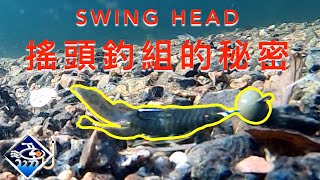 【尋鱸訣】德州、卡羅和搖擺餌大合體！搖頭釣組的秘密 --Swing head explained_EP002