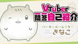 【自己紹介】Vtuber一問一答自己紹介【ﾊﾑｽﾀｰのきなこ】