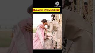 ansha afridi wedding|shaheen afridi wedding #shortvideo #shortsvideo#youtube #shaheenafridi #shorts