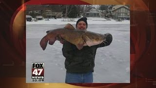 Man Catches Catfish, Breaks State Record