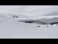 Gentoo Penguins at Mikkelsen Harbour Antarctica