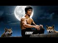 mastering the dragon unseen bruce lee martial arts mastery brucelee viral fighting martialarts