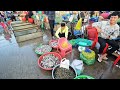 massive supplies of fish cambodian routine food market tour in 2025 fish vs vegetable market