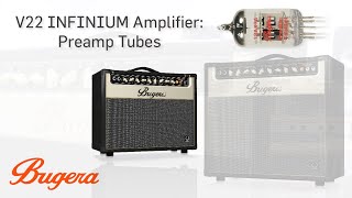 V22 INFINIUM Amplifiers: Preamp Tubes