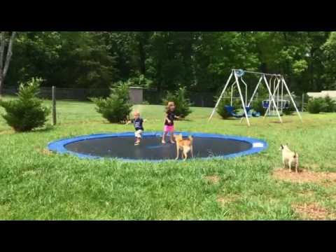 DIY In-Ground Trampoline DIY In-Ground Trampoline