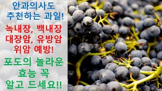 안과의사도 추천하는 포도 : 먹고 나타난 몸의 놀라운 변화 - 스마트하게 알고 먹자!