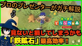 【あつ森】鉄鉱石を最高効率で稼ぐ方法！岩は壊すべき？知らないと損をします！【あつまれどうぶつの森/初心者・攻略・効率】