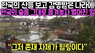 한국의 산을 보고 감명받은 한 나라에 한국의 숲을 그대로 옮겨놓자 벌어진 일