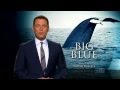 Nine Network - 60 Minutes Blue Whale research