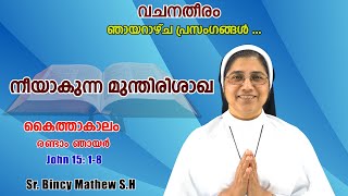 നീയാകുന്ന മുന്തിരിശാഖ #വചനതീരം # Sunday Reflection# Sr. Bincy Mathew S.H# John 15:1-8