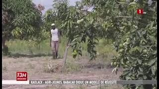 L’agripreneur Babacar Diouf exploite une ferme agricole de 2 hectares dans la commune de Dya