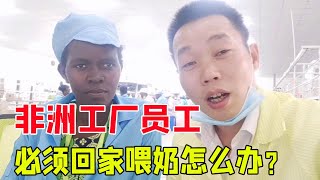 非洲工厂要求员工住厂内，但有一个必须回家给小孩喂奶，怎么办？【带你一起看非洲】