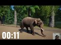 asian animals speed race in planet zoo included bear tiger elephant giant panda rhinoceros