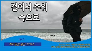 [울진 해파랑길 23코스] Ep.23 걸어서 추위 속으로!ㅣ고래불해수욕장~후포항ㅣ부산에서 강원도 고성 통일전망대까지 770km의 대장정