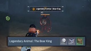 UNDAWN - Boar King [Legendary Animal] Wilderness Anecdote