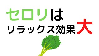 セロリの効能で夏を元気に乗り切ろう！国際薬膳師が徹底解説