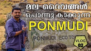 Ponmudi Hill Station/പൊന്മുടി ഹിൽ സ്റ്റേഷൻ/Beautiful Video