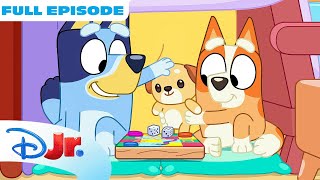 Bluey Full Episode | Cubby | S3 E38 | @disneyjr