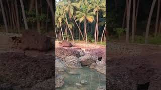 EZHARA BEACH | PARAPPALI |BEST BEACH