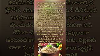 Fonio millet ఫోనియో ఇది ఒక సంపూర్ణ ఆరోగ్య ఆహార ధాన్యం #millets #healthyfood #food