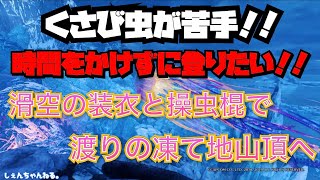 ⁑MHWI⁑ 楔虫が苦手！はやく登りたい！渡りの凍て地山頂へ時間をかけずに登りたい！そんな人にオススメの登り方【MHWI】