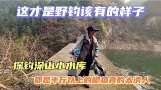 野钓：深山小水库半斤以上的鲫鱼太诱人，就是路难走，鱼是真的多