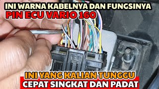 Jalur kabel pin ECU honda vario 160 @yudikakakeke5974