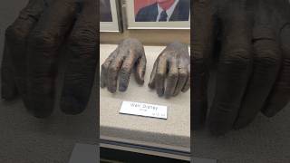 Walt Disneys Hands
