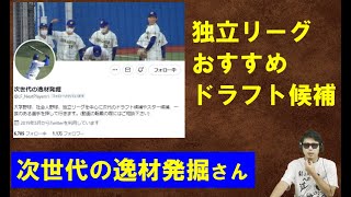 独立リーグおすすめドラフト候補【次世代の逸材発掘さん】