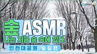 유한킴벌리 숲 ASMR - 인천대공원숲길편