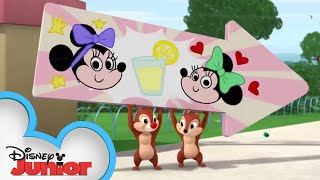 Buzz Around Town | Chip 'N Dale's Nutty Tales | Disney Junior