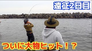 遠征2日目！！大物を狙ってルアーを投げ続ける！