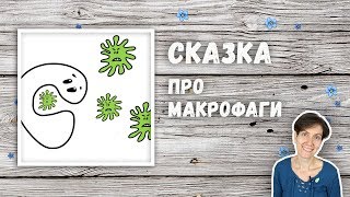 СКАЗКА ПРО МАКРОФАГОВ | ЗАНИМАТЕЛЬНАЯ НАТУРОПАТИЯ