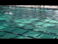 保良局陳守仁小學 2014 10 31九龍西區小學校際游泳比賽 女子甲組4x50m自由泳接力