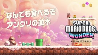 【ﾏﾘｵﾜﾝﾀﾞｰ】なんでも食べるぞアングリの並木 フラワー諸島 スーパーマリオブラザーズワンダー Super Mario Bros. Wonder