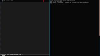 python instarepl with vim-slime