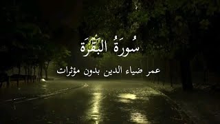 سورة البقرة كاملة بصوت القارئ عمر ضياء الدين (بدون مؤثرات)