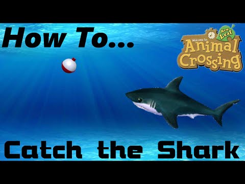 How To: Easily Catch Sharks (ACNL) How To: Easily Catch Sharks (ACNL)