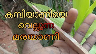 തടിയാണി ഉണ്ടാക്കാൻ പഠിച്ചാല്ലോ  How to make wood nail (wood nail meking)