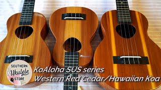 EXCLUSIVE KoAloha Ukuleles at SUS! (Western Red Cedar)