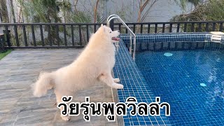 เมื่อหนูเป็นวัยรุ่นพูลวิลล่าแต่หนูไม่ใช่เอเย่นค้ายาเด้อ